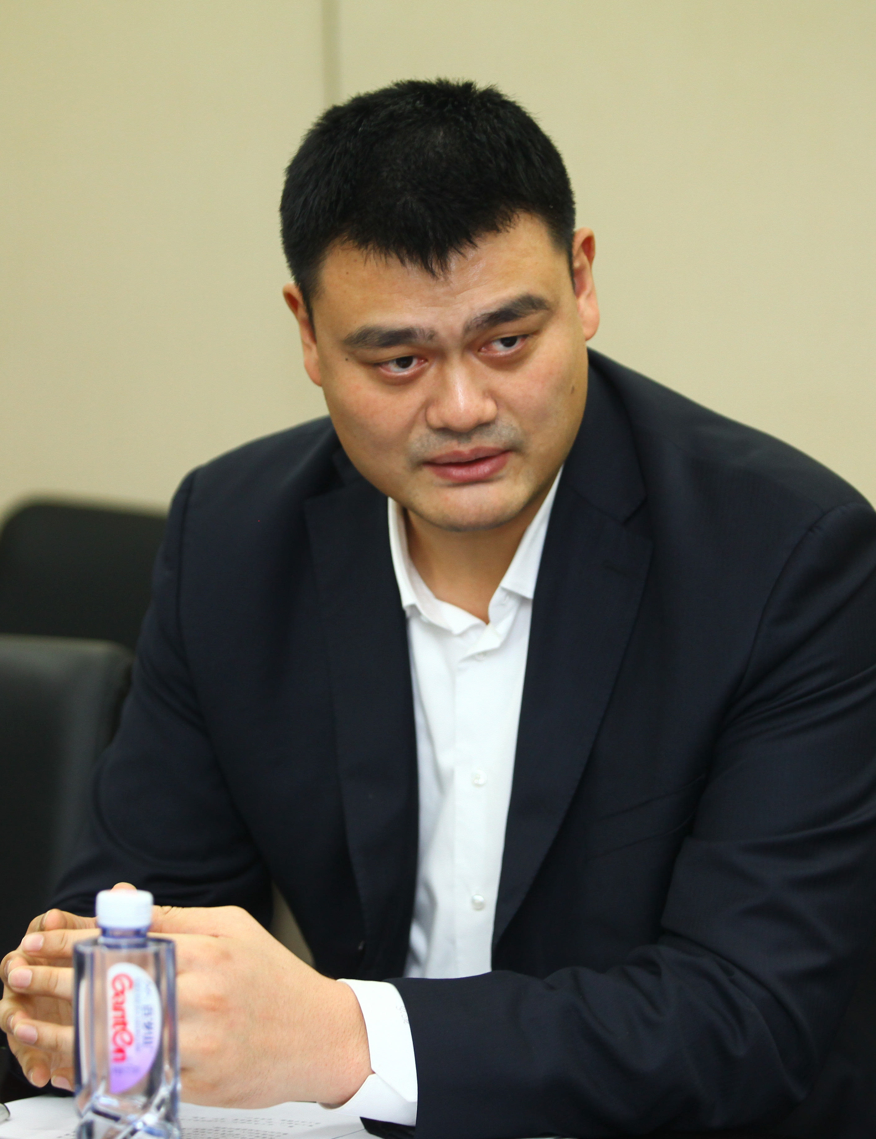赛中的一匹